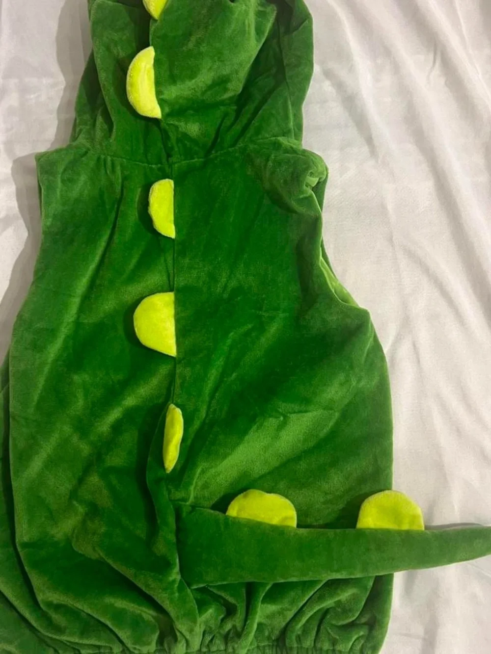 Green Dinosaur Hooded Kids Costume - Plush Dino Outfit